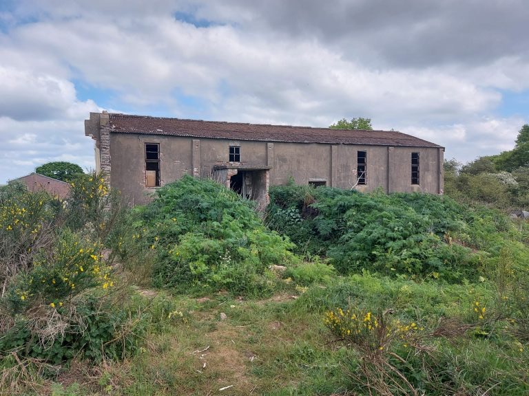 An overgrown hall